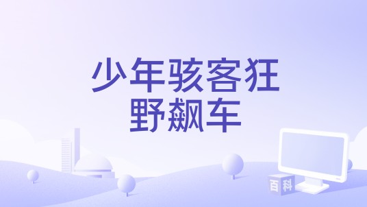 少年骇客狂野飙车