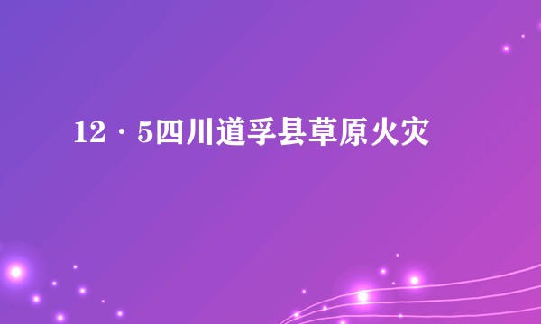 12·5四川道孚县草原火灾