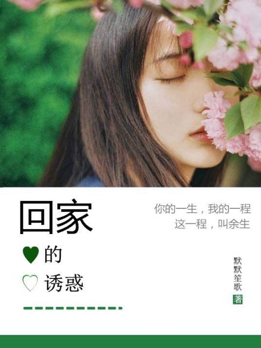 回家的诱惑（默默笙歌创作的都市言情类网络小说）