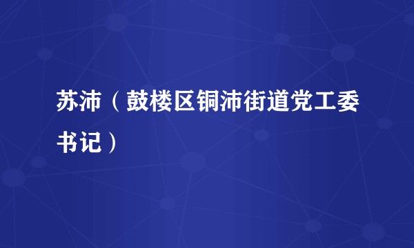 苏沛（鼓楼区铜沛街道党工委书记）