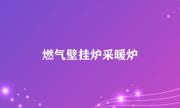 燃气壁挂炉采暖炉