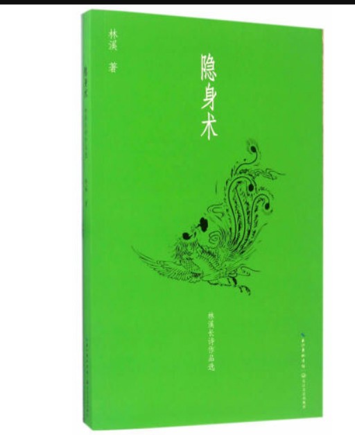 隐身术（2017年武汉长江文艺出版社出版的图书）