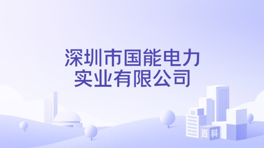 深圳市国能电力实业有限公司