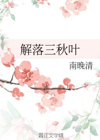 解落三秋叶（南晚清创作的网络小说）