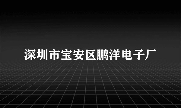 深圳市宝安区鹏洋电子厂