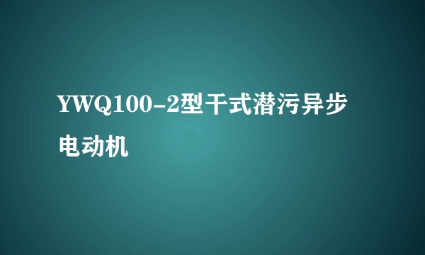 YWQ100-2型干式潜污异步电动机