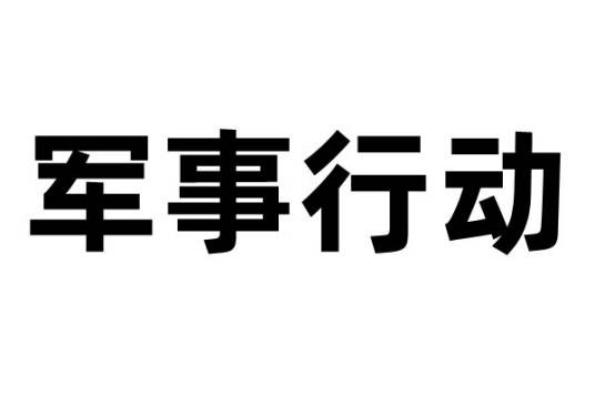 军事行动（有组织地使用武装力量的活动）
