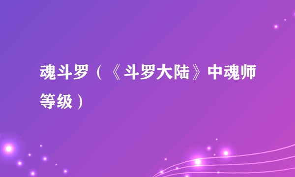 魂斗罗（《斗罗大陆》中魂师等级）