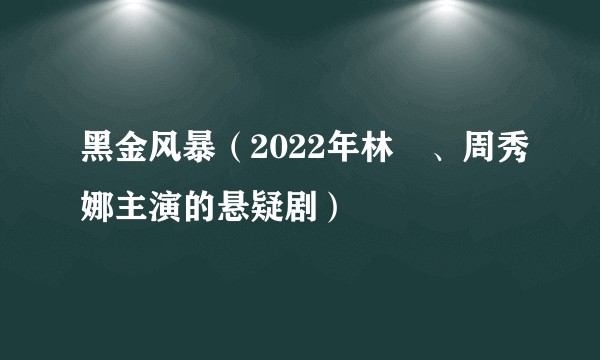 黑金风暴（2022年林峯、周秀娜主演的悬疑剧）