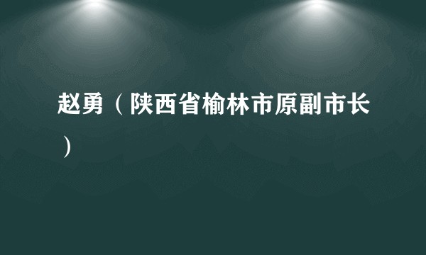 赵勇（陕西省榆林市原副市长）