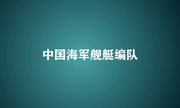 中国海军舰艇编队
