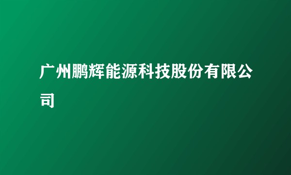 广州鹏辉能源科技股份有限公司