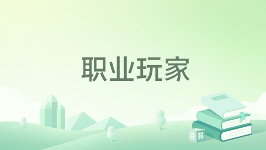 职业玩家（伤百合著职场小说）