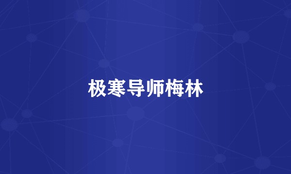 极寒导师梅林