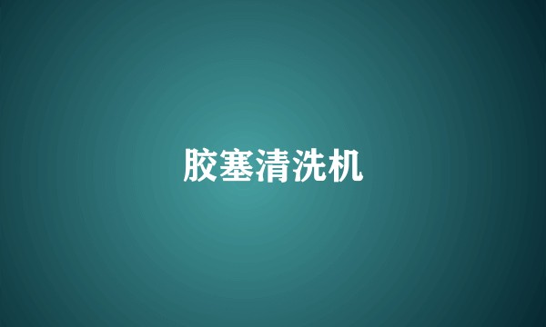 胶塞清洗机
