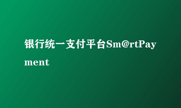 银行统一支付平台Sm@rtPayment