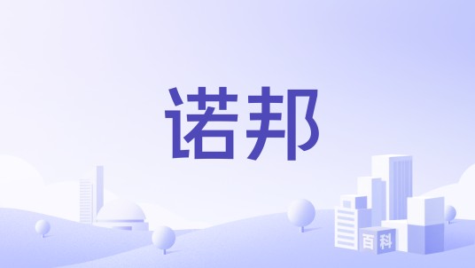 诺邦（创新型国内非织造行业品牌）