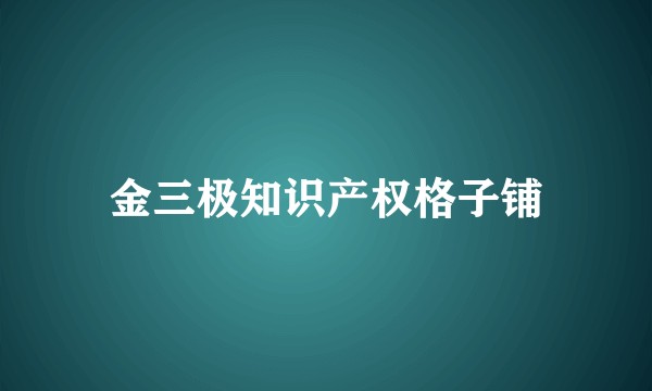 金三极知识产权格子铺