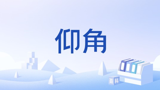 仰角（田赛投掷运动术语）