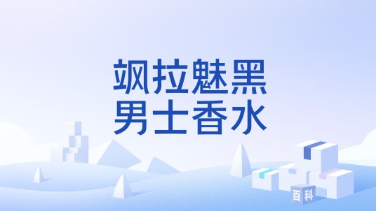 飒拉魅黑男士香水