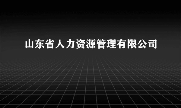 山东省人力资源管理有限公司