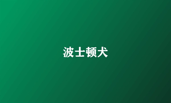 波士顿犬