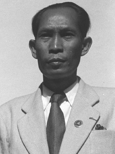 宾努