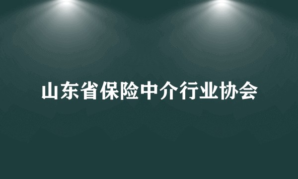 山东省保险中介行业协会