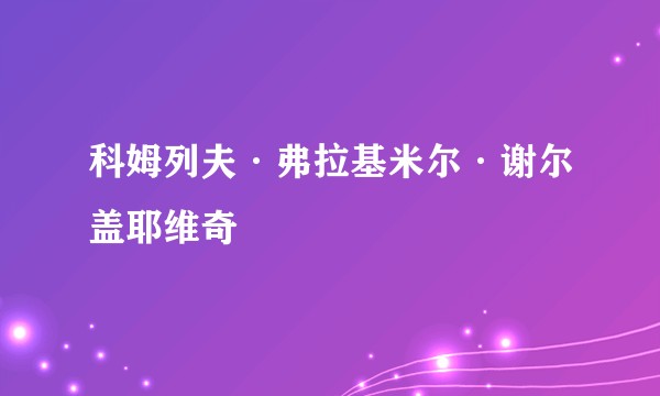 科姆列夫·弗拉基米尔·谢尔盖耶维奇