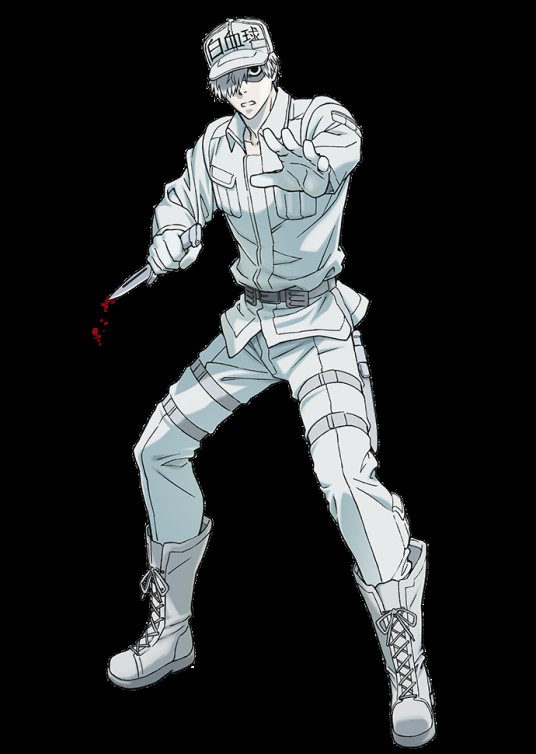 白细胞（日本漫画《工作细胞》中登场的角色）