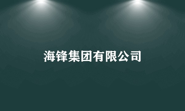 海锋集团有限公司