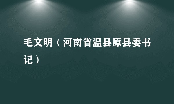 毛文明（河南省温县原县委书记）