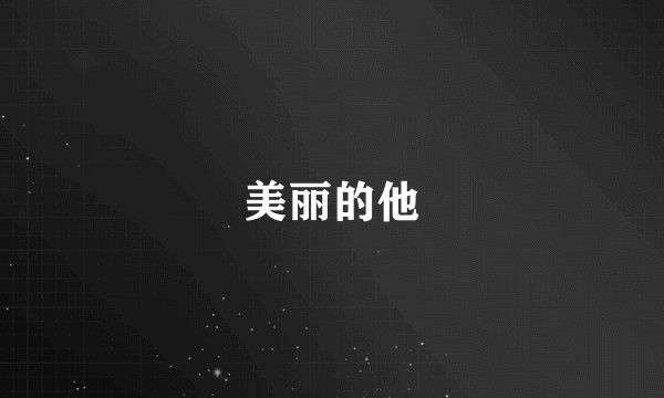 美丽的他