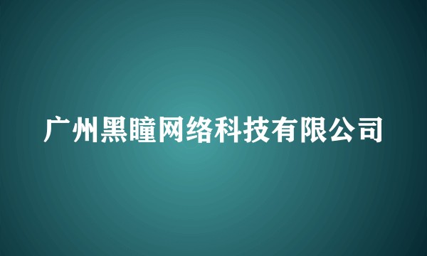 广州黑瞳网络科技有限公司
