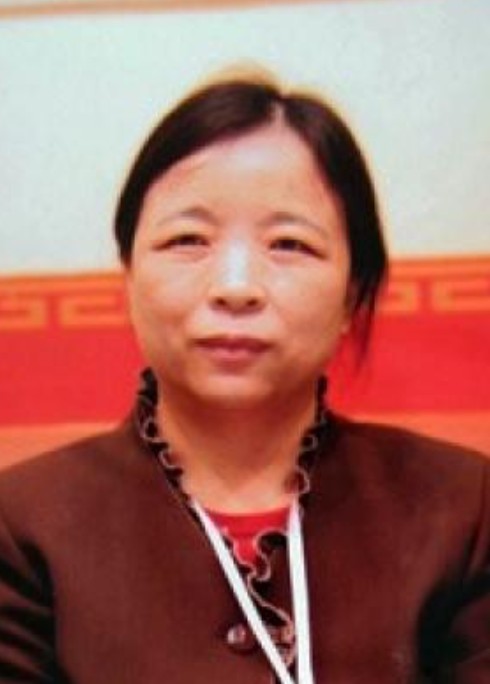 陈丽君（中国中山大学港澳珠三角研究中心教授）