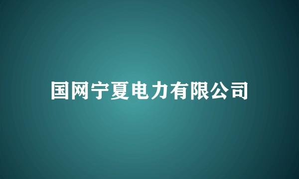 国网宁夏电力有限公司