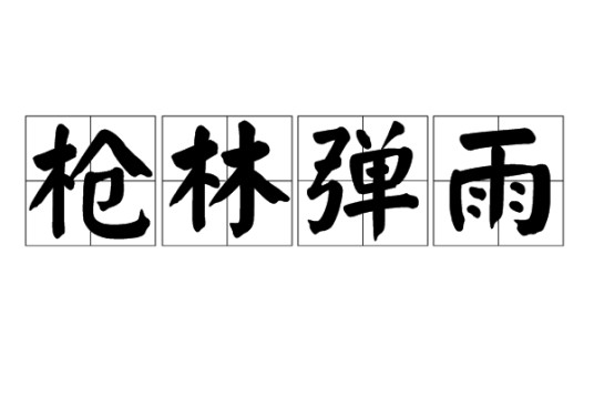枪林弹雨（形容战斗激烈、炮火密集的汉语成语）
