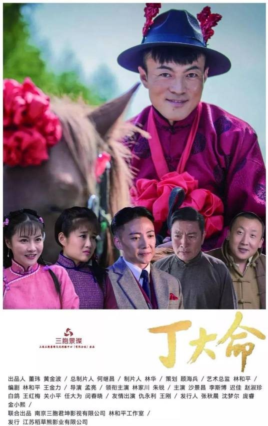 丁大命（2018年林家川主演的剧情电视剧）
