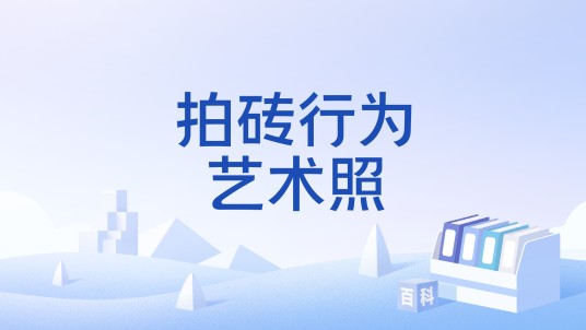 拍砖行为艺术照