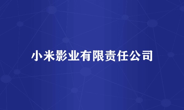 小米影业有限责任公司