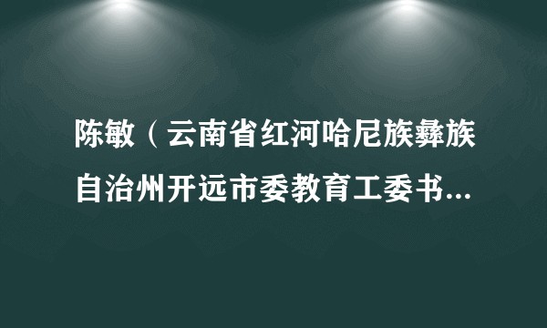 陈敏（云南省红河哈尼族彝族自治州开远市委教育工委书记，开远市教育局党组书记、局长）