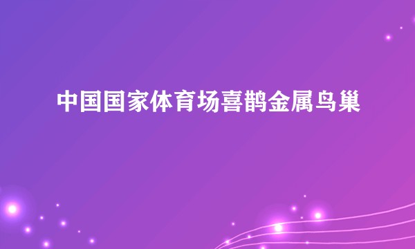 中国国家体育场喜鹊金属鸟巢