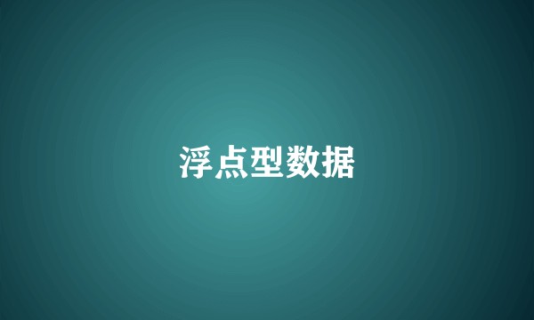 浮点型数据