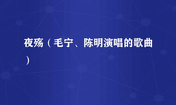 夜殇（毛宁、陈明演唱的歌曲）