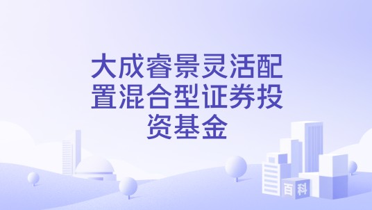 大成睿景灵活配置混合型证券投资基金（大成睿景灵活配置混合C）