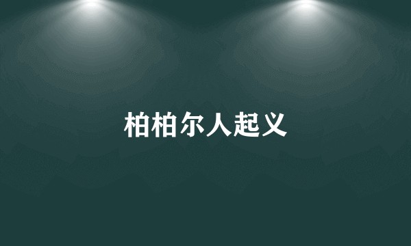 柏柏尔人起义