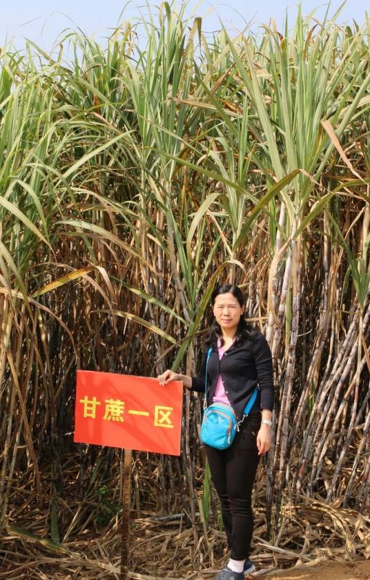 黄秋燕(南宁师范大学地理科学与规划学院教授)