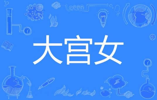 大宫女（浅浅爱著古代言情网络小说）