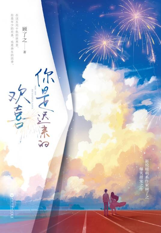 你是迟来的欢喜（2019年百花洲文艺出版社出版的图书）