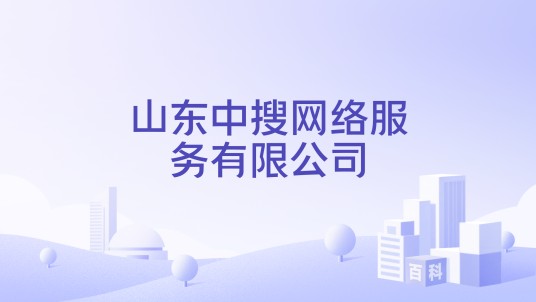 山东中搜网络服务有限公司